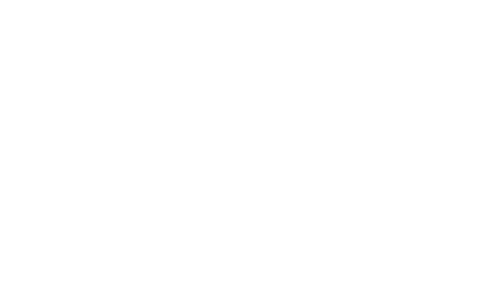 Nexi logo